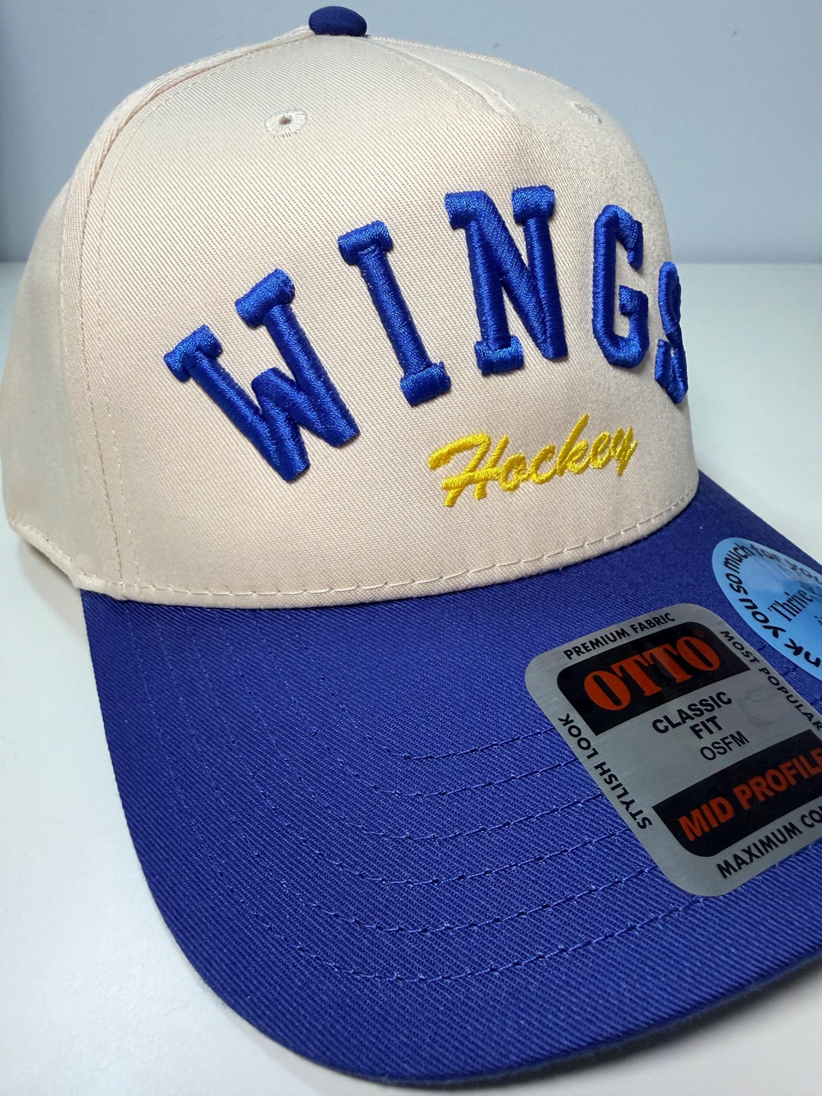 Custom Embroidery 3D puff foam hat, custom team/sport name